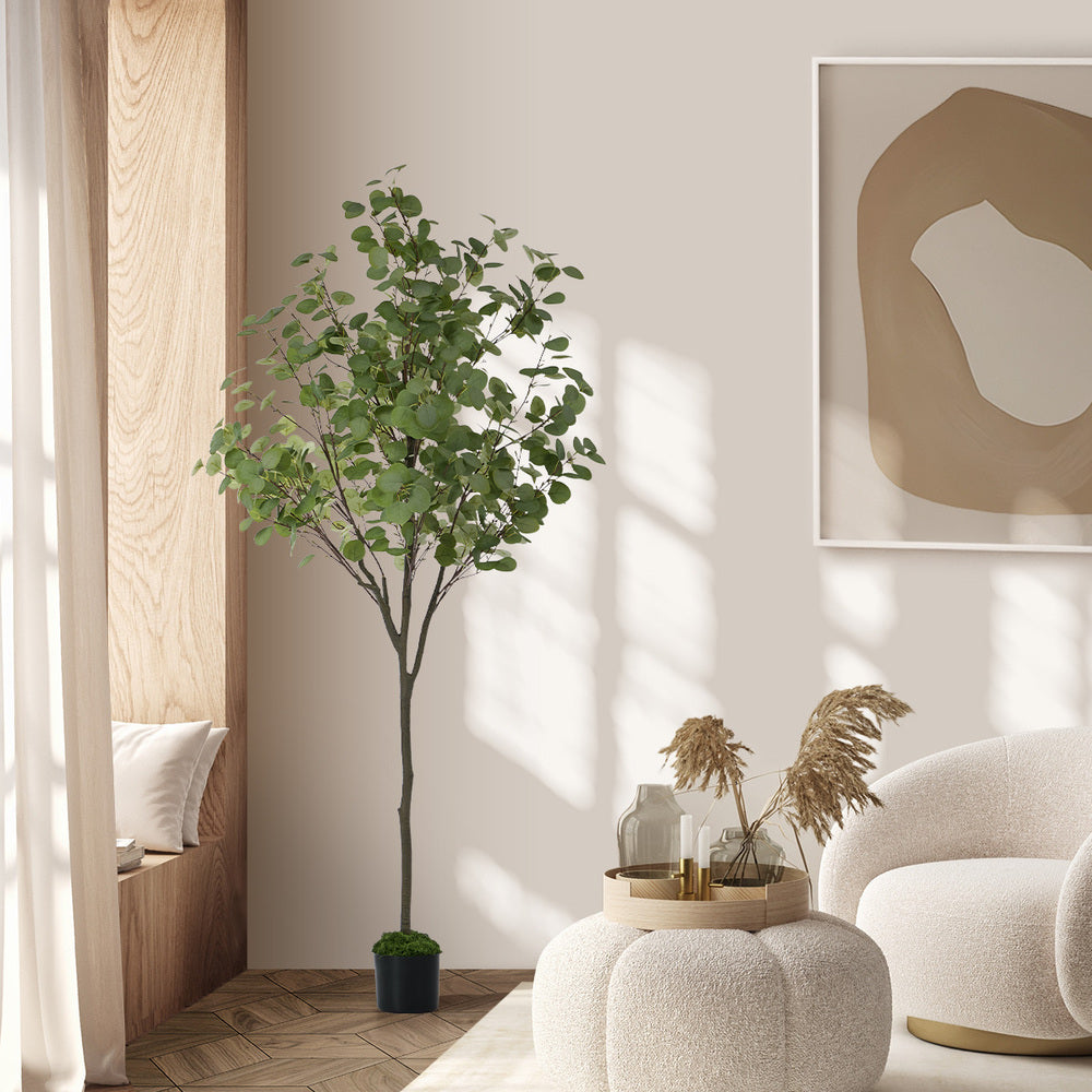 150cm Eucalyptus Tree Potted Plant - 9