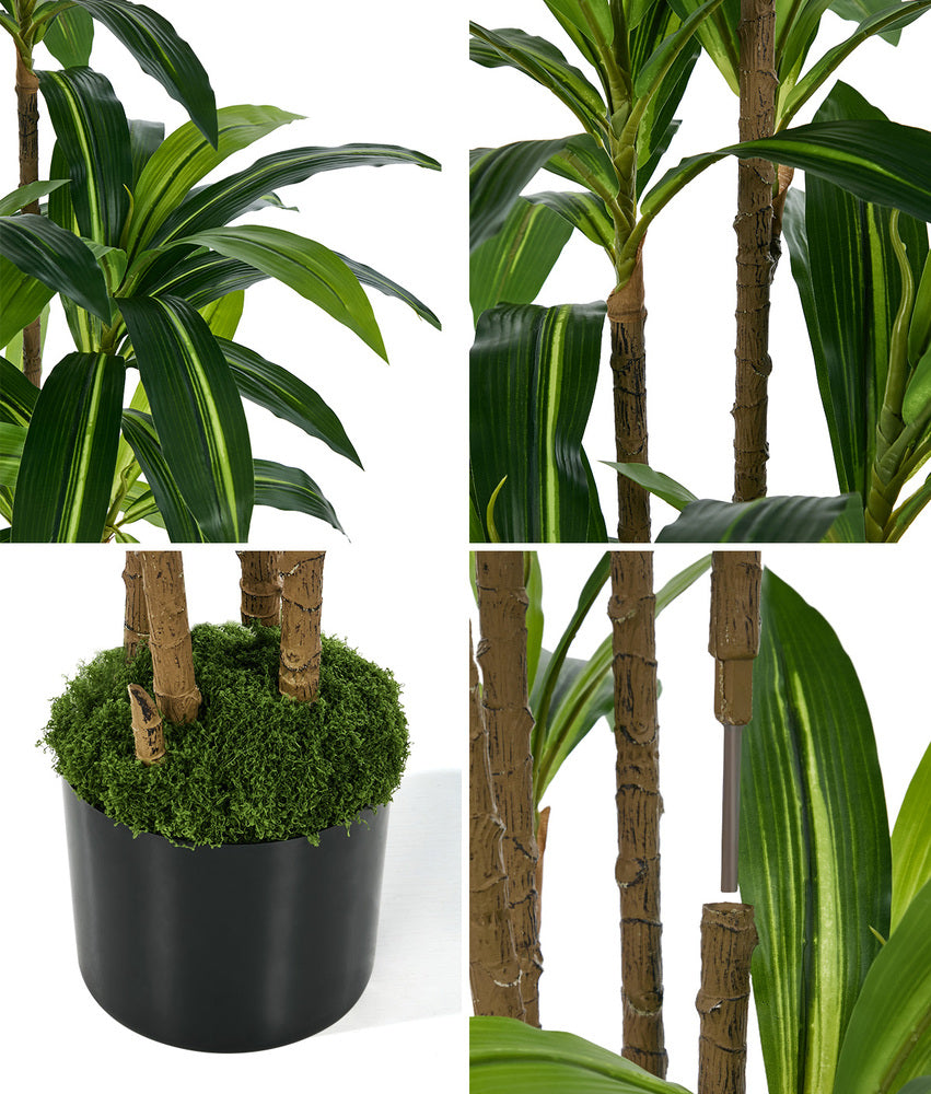 150cm Dracaena Tree Potted Plant - 9