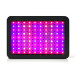 1000W Grow Light Led Full Spectrum Indoor Plant All Stage Growth