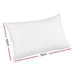 Goose Feather Down Pillow Luxury Twin Pack