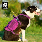 Whinhyepet Military Harness Purple Xl