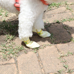 28Pc X Dog Shoes Waterproof Disposable Boots Anti-Slip Pet Socks L Yellow