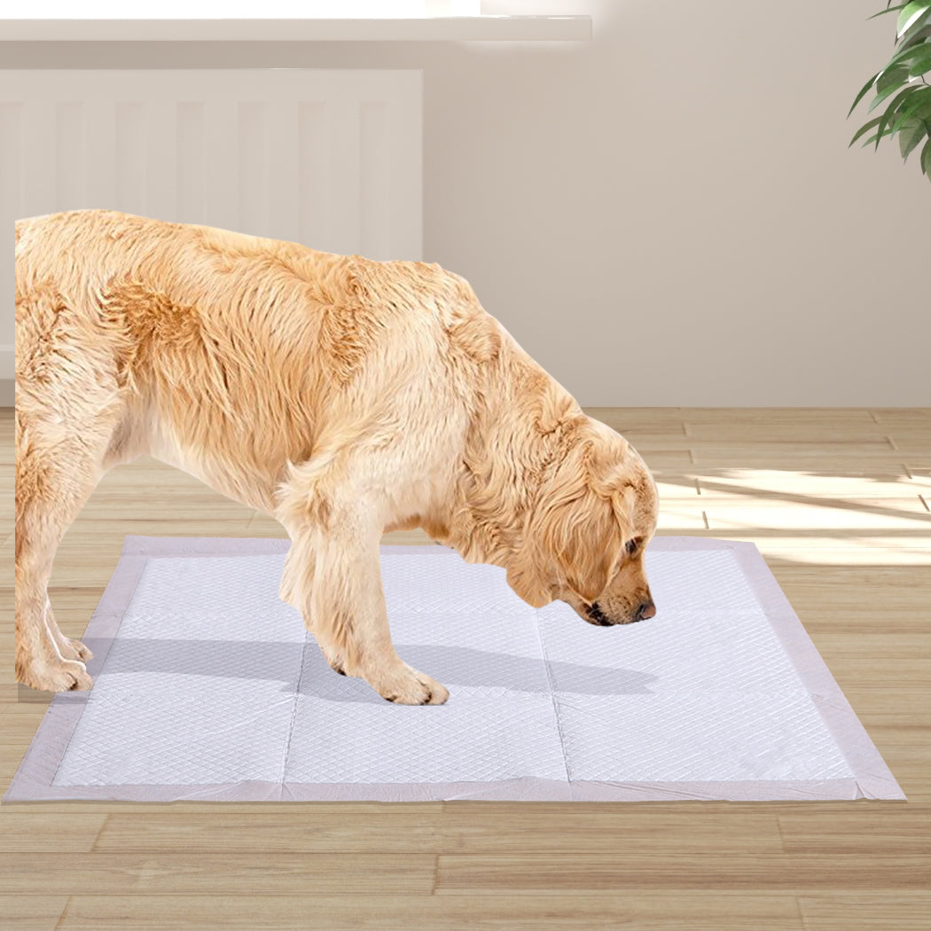 100 Pcs 60x60 cm Pet Puppy Dog Toilet Training Pads Absorbent Meadow Scent