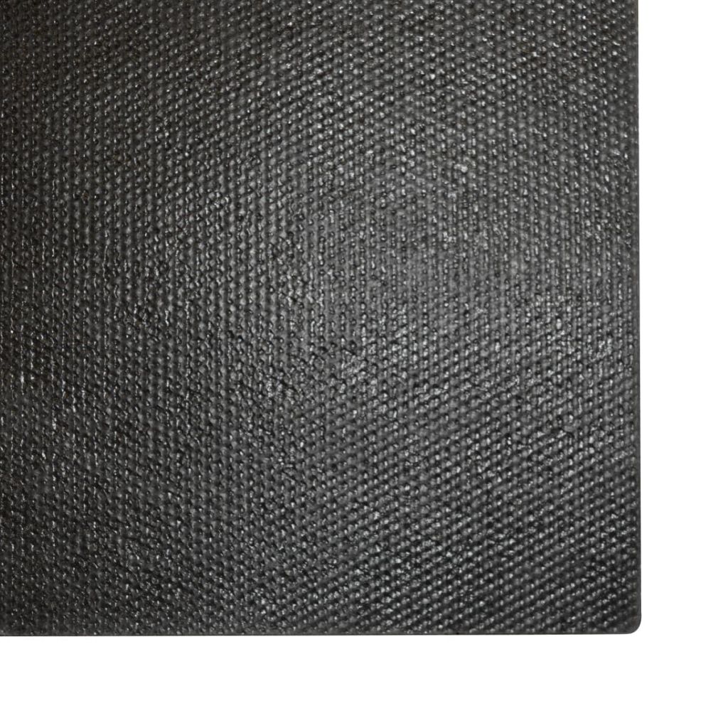 Doormat Coir 24 mm 100x300 cm Black