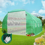 Greenhouse Wonderland: A 3x2m Plant Paradise