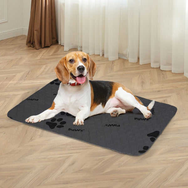  Washable Dog Puppy Training Pad Reusable Cushion 4PC Grey