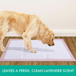 200 Pcs 60x60 cm Pet Puppy Toilet Training Pads Absorbent Lavender Scent