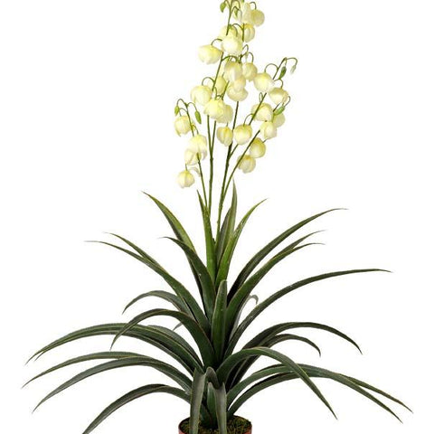 Dracena & Artificial Yucca