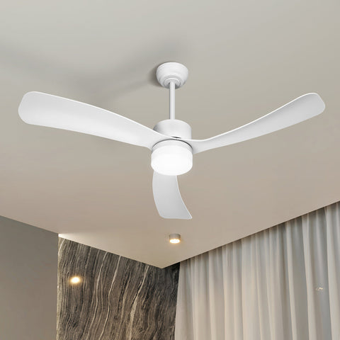 Ceiling Fans