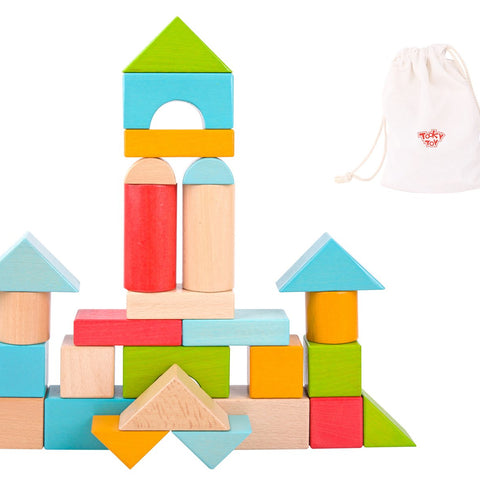Blocks & Building Toys
