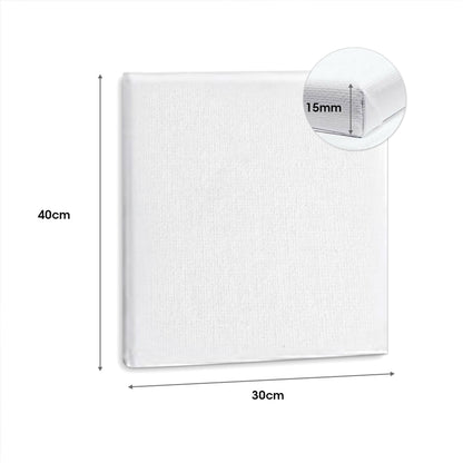 5x Artist Canvas Blank Stretched Canvases-Stylish