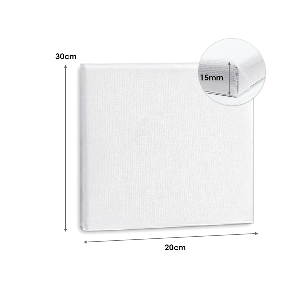 5x Artist Canvas Blank Stretched - Canvases