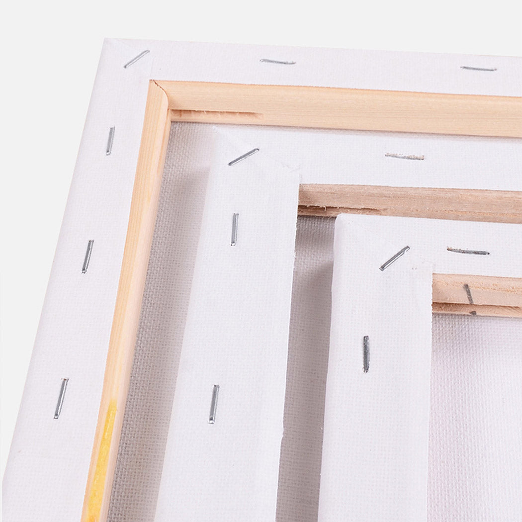 5x Artist Canvas Blank Stretched Canvases-Stylish