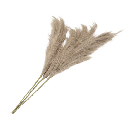 Artificial Pampas Grass Brown Fluffy