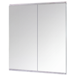 Full Length Gym Mirror Wall Mount 2 Pack | HomeAndLiving