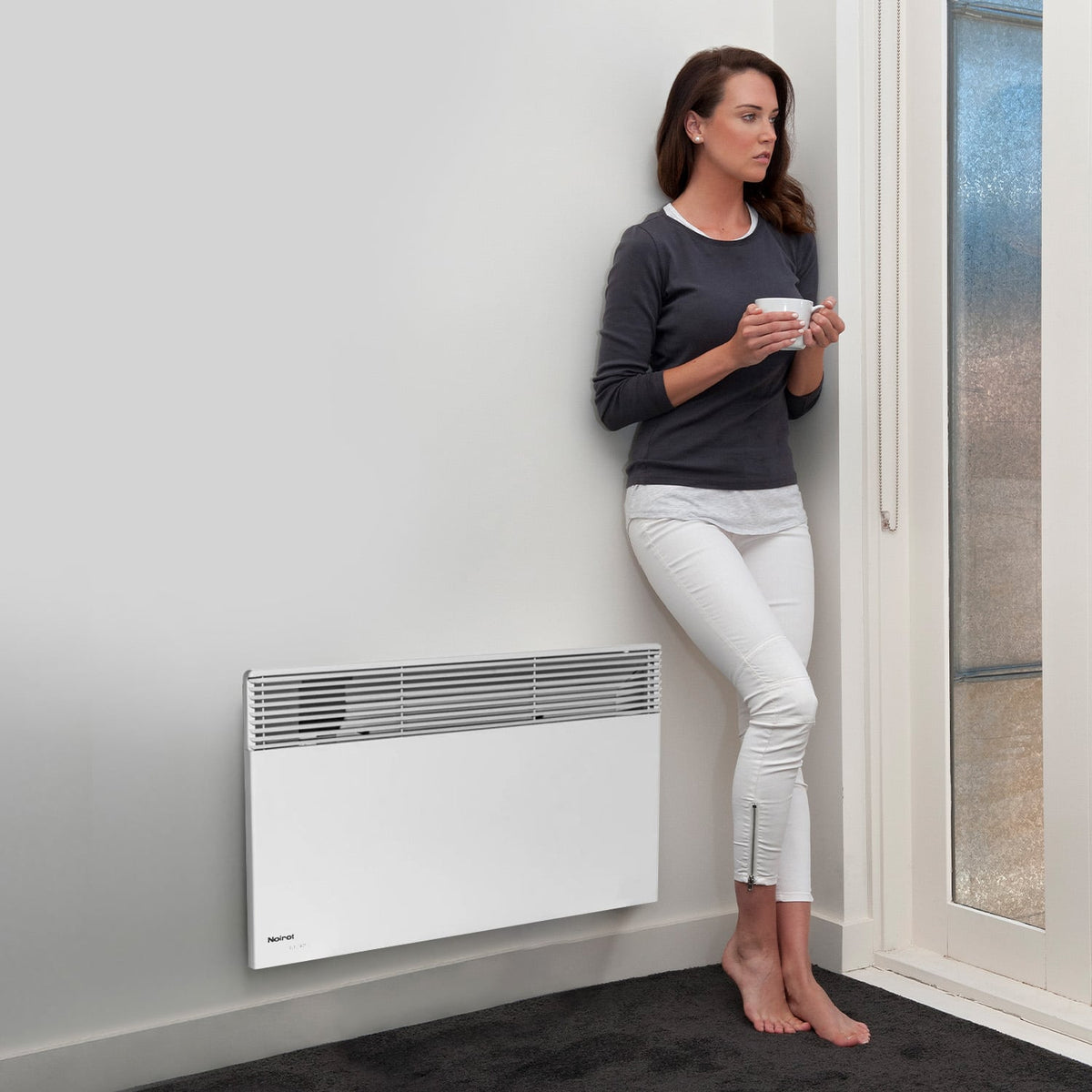 Electric Convection Heater WiFi 100x745x440cm
