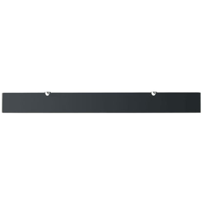 Floating Shelf Glass - Black Shelf