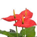 Artificial Anthurium Plant with Pot 90 cm Red and Yellow