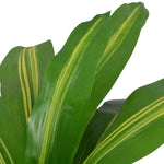 Artificial Dracaena Plant with Pot 90 cm Green