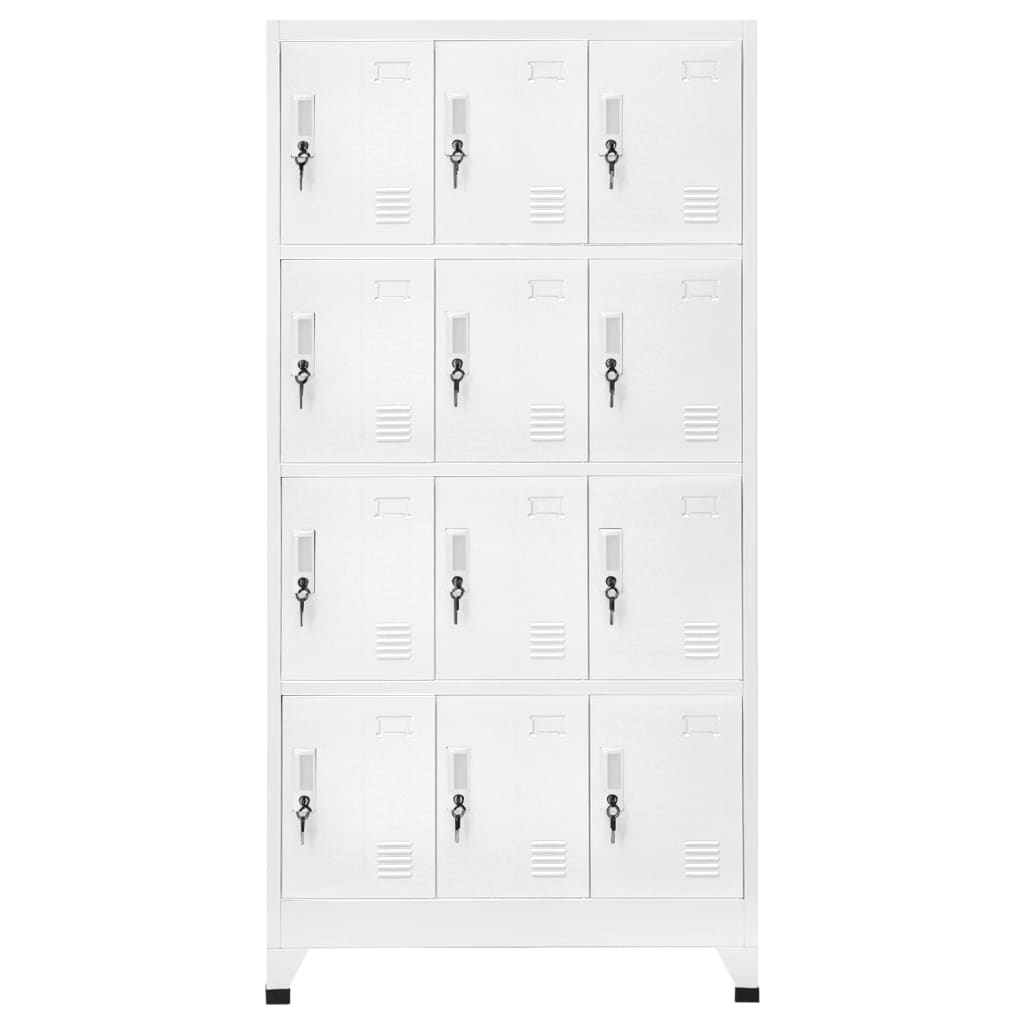 Locker Cabinet with 12 Compartments