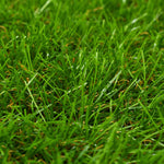 Artificial  Grass  & Green