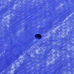 Trampoline Cover PE 300 cm 90 g/m?
