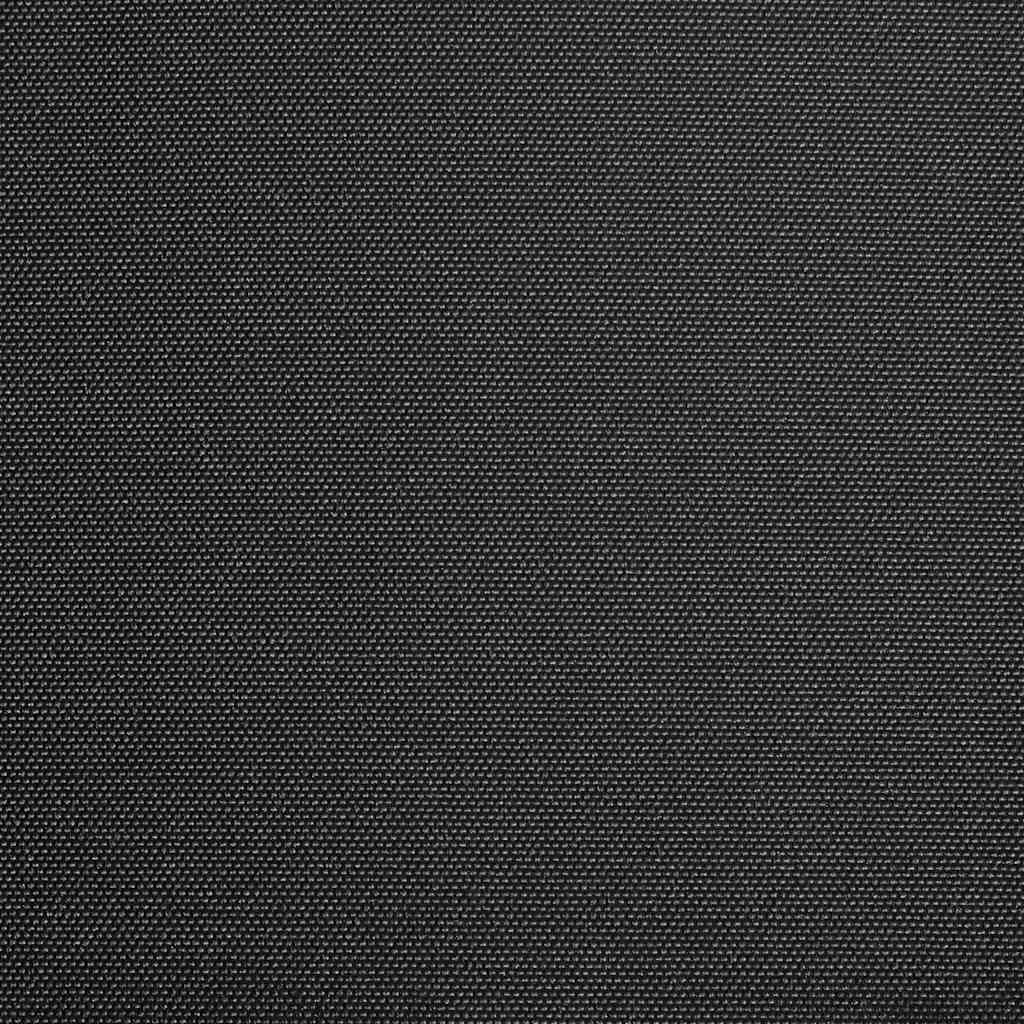 Awning Replacement Canvas 3x2.5m Anthracite | HomeAndLiving