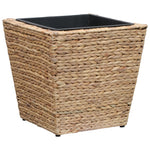 Garden Planters 3 pcs Water Hyacinth