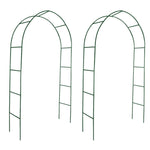Garden Arch 2 pcs Climbing Plants