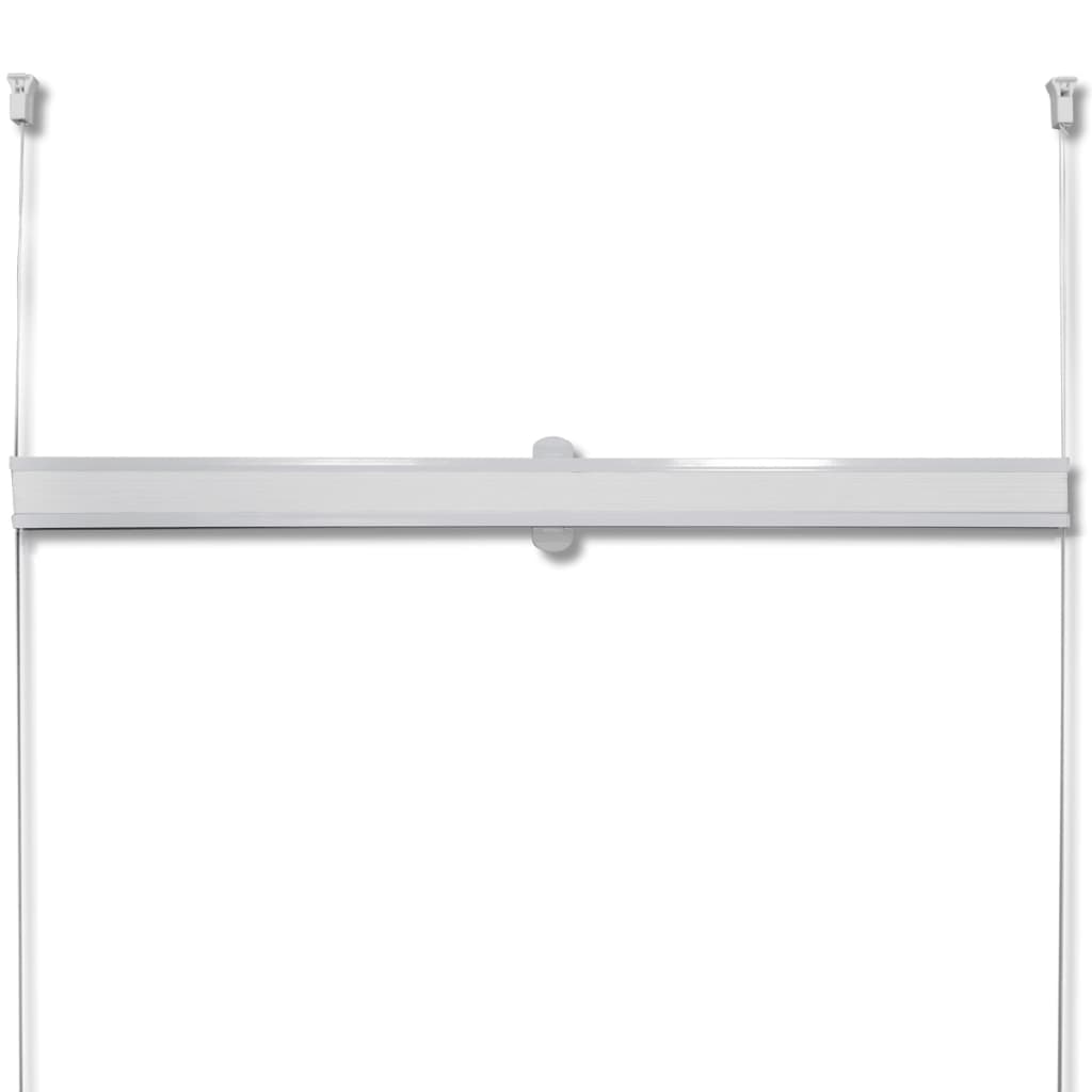 Plisse Blind White Pleated Blind S