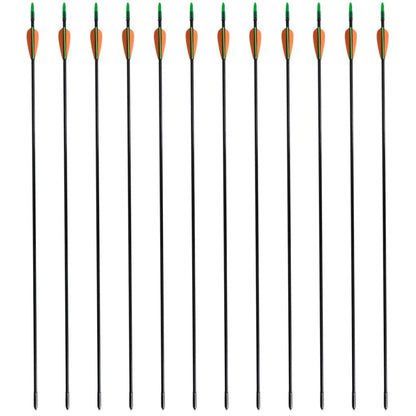 Standard Recurve Bow Arrows 30" 0.6 cm Fiberglass 12 pcs