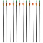 Standard Recurve Bow Arrows 30