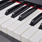 Digital Piano 88 Keys with Pedals Black Melamine Board Home Keyboard