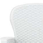 Garden Chairs 2 pcs with Cushion White Plastic Rattan Look