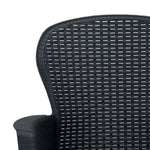 Garden Chairs 2 pcs with Cushion Anthracite Plastic Rattan Look