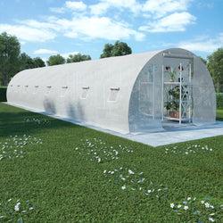 Greenhouse with Steel Foundation
