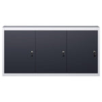 Wall Mounted Tool Cabinet Industrial Metal | HomeAndLiving