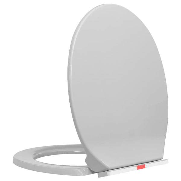  Soft-Close Toilet Seat Quick Release Light Grey Oval
