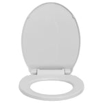 Soft-Close Toilet Seat Quick Release Light Grey Oval