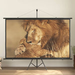 Projection Screen 100