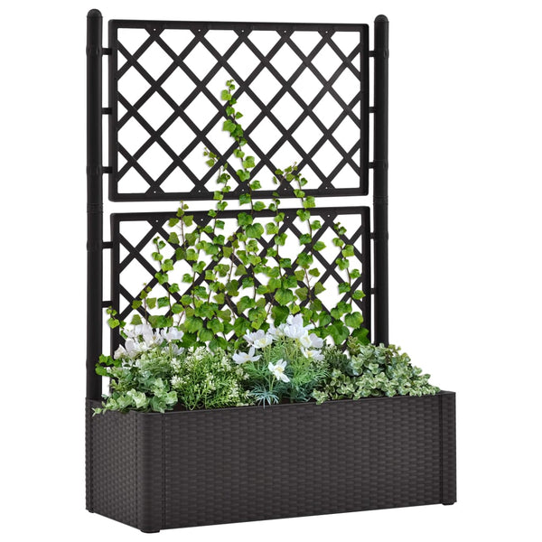  Garden Raised Bed with Trellis and Self Watering System