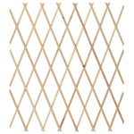 Trellis Fences 5 pcs Solid Firwood