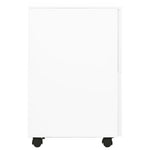 Steel Mobile File Cabinet 2 Drawer White | HomeAndLiving