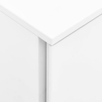 Steel Mobile File Cabinet 2 Drawer White | HomeAndLiving