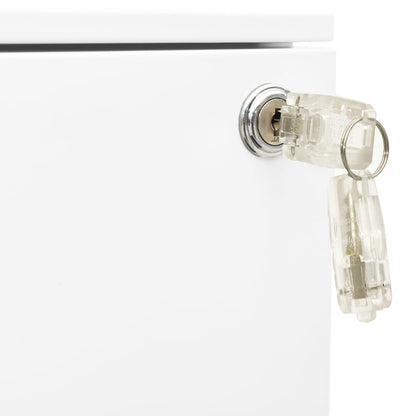 Steel Mobile File Cabinet 2 Drawer White | HomeAndLiving