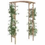 Bamboo Rose Arch Garden Trellis 187cm | HomeAndLiving