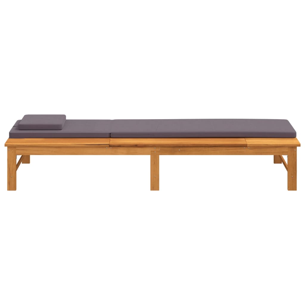 Contemporary Sun Lounger with Dark Grey Relaxing Seating Modern Living 