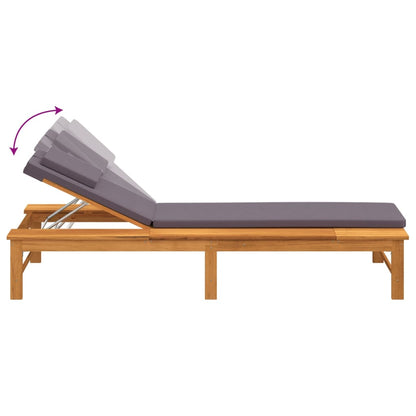 Contemporary Sun Lounger with Dark Grey Relaxing Seating Modern Living 