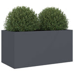 Planter Anthracite Cold-rolled Steel