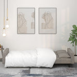 2-Seater Sofa Bed with Two Pillows Light Grey Velvet